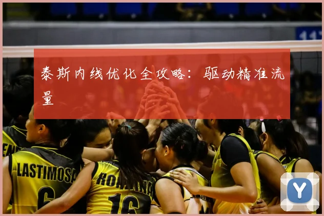 泰斯内线优化全攻略：驱动精准流量