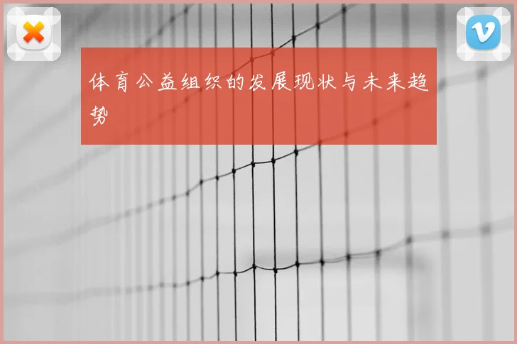 体育公益组织的发展现状与未来趋势