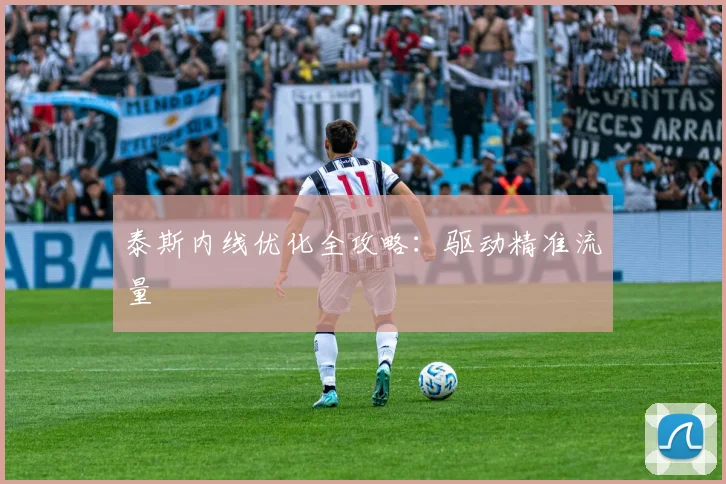 泰斯内线优化全攻略：驱动精准流量