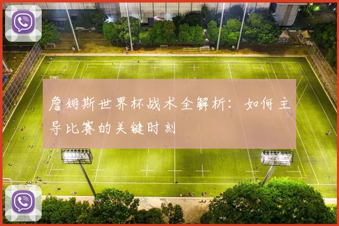 詹姆斯世界杯战术全解析：如何主导比赛的关键时刻