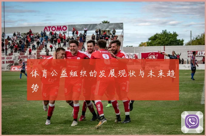 体育公益组织的发展现状与未来趋势